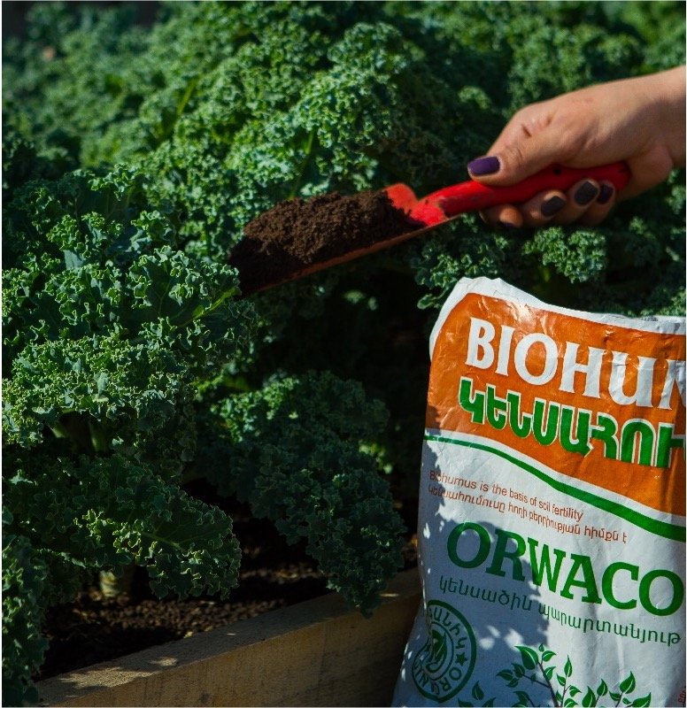 Biohumus Organic