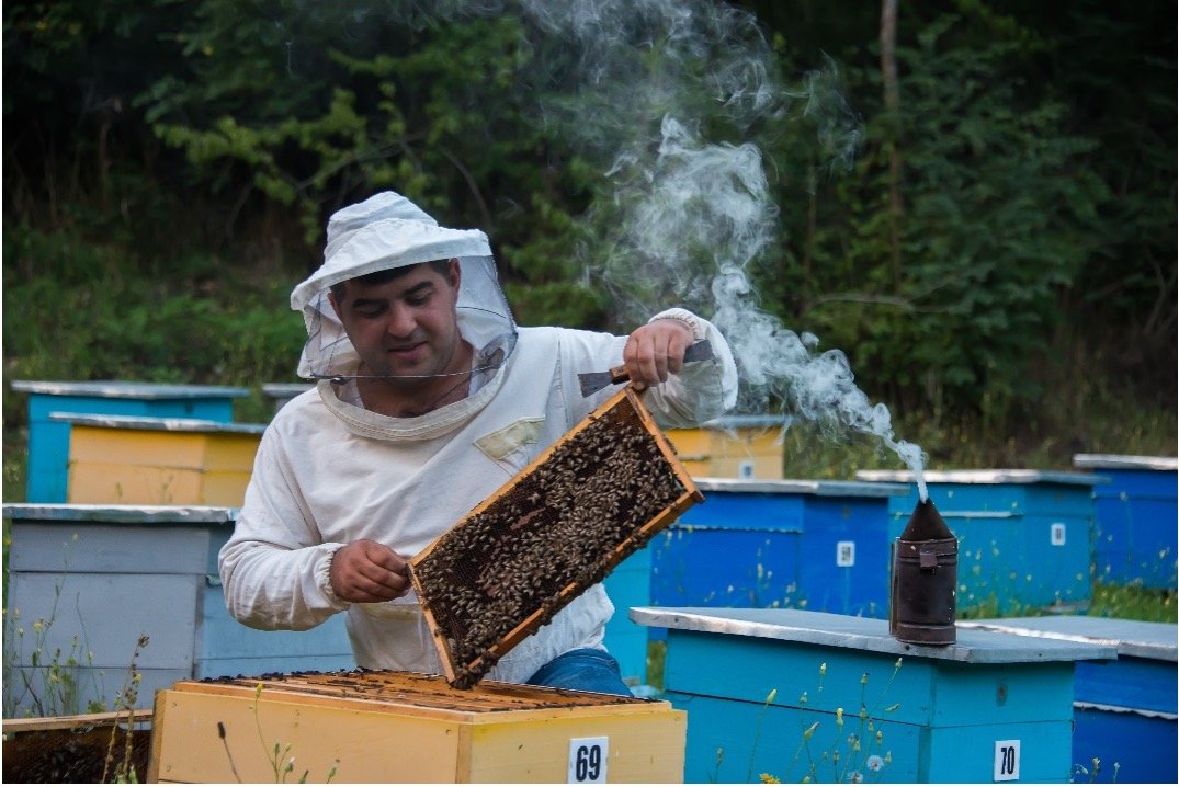Beekeeping