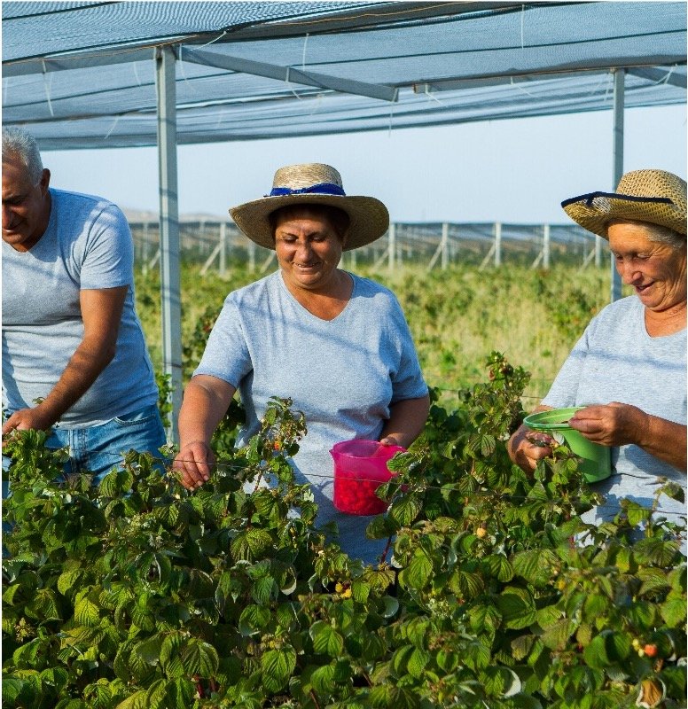 Agriculture