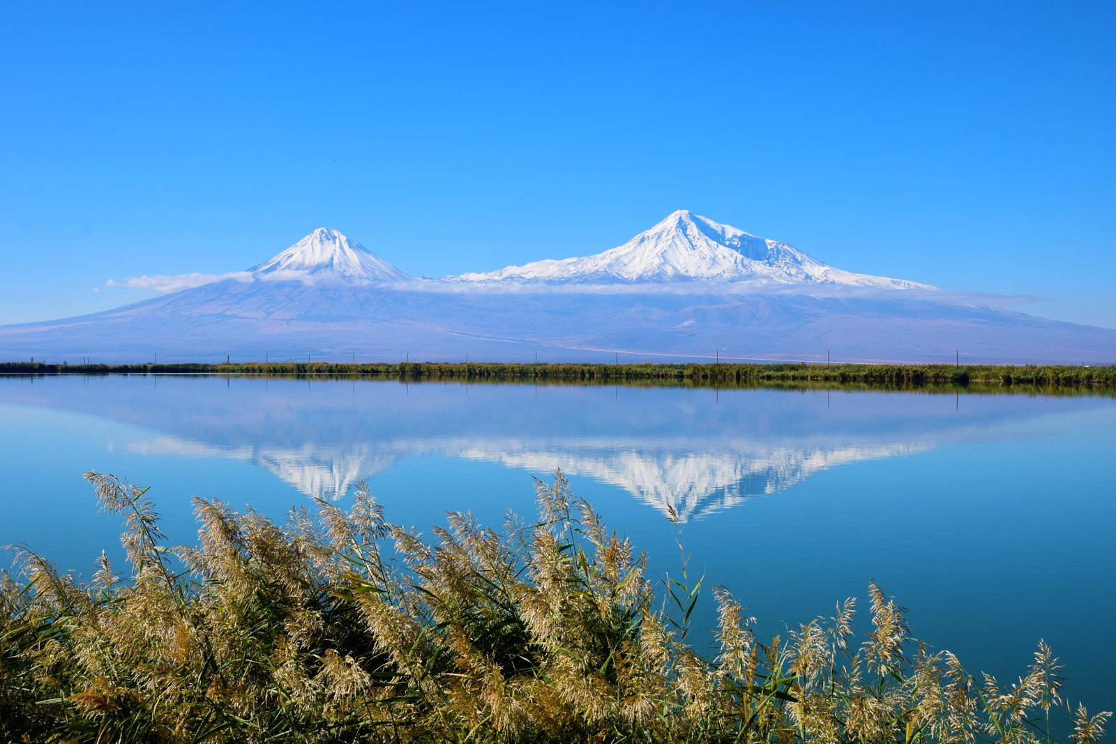 Բնական միջավայր