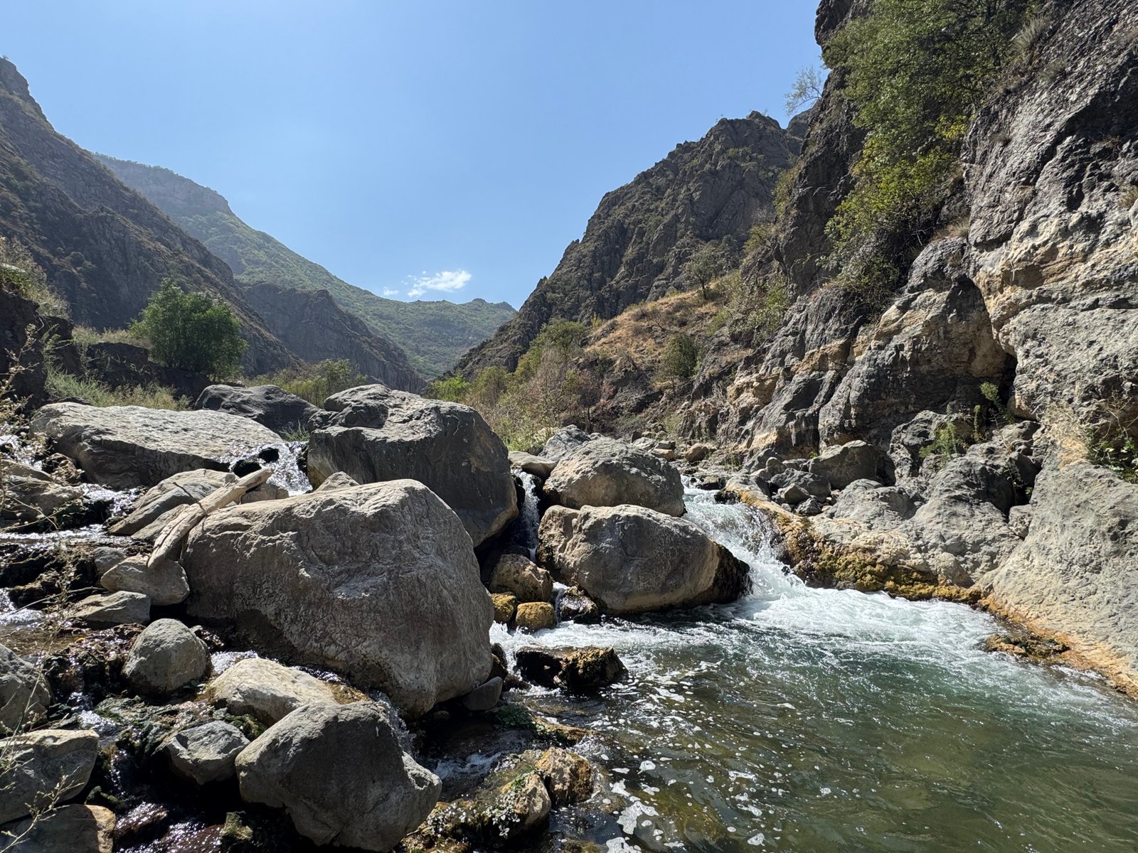 Լեռնային գետ