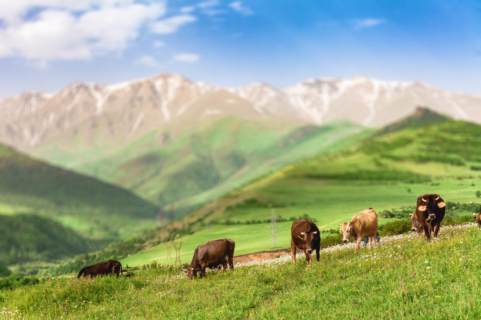 Agriculture and natural resources