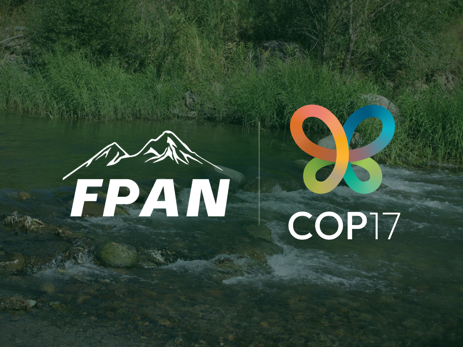 FPAN and COP17 logos over a mountain river