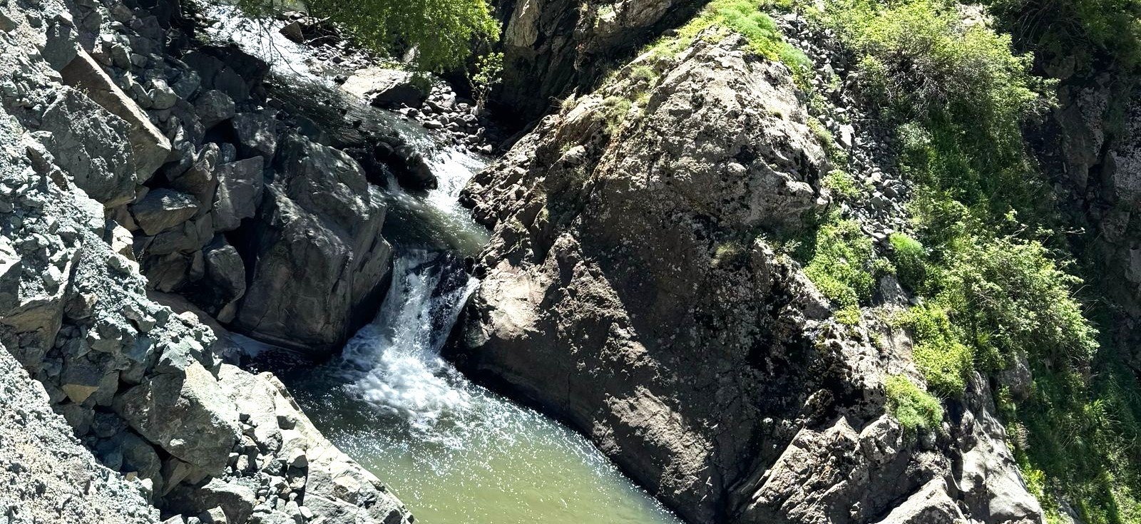 Կամավորական խմբերի հավաքագրում