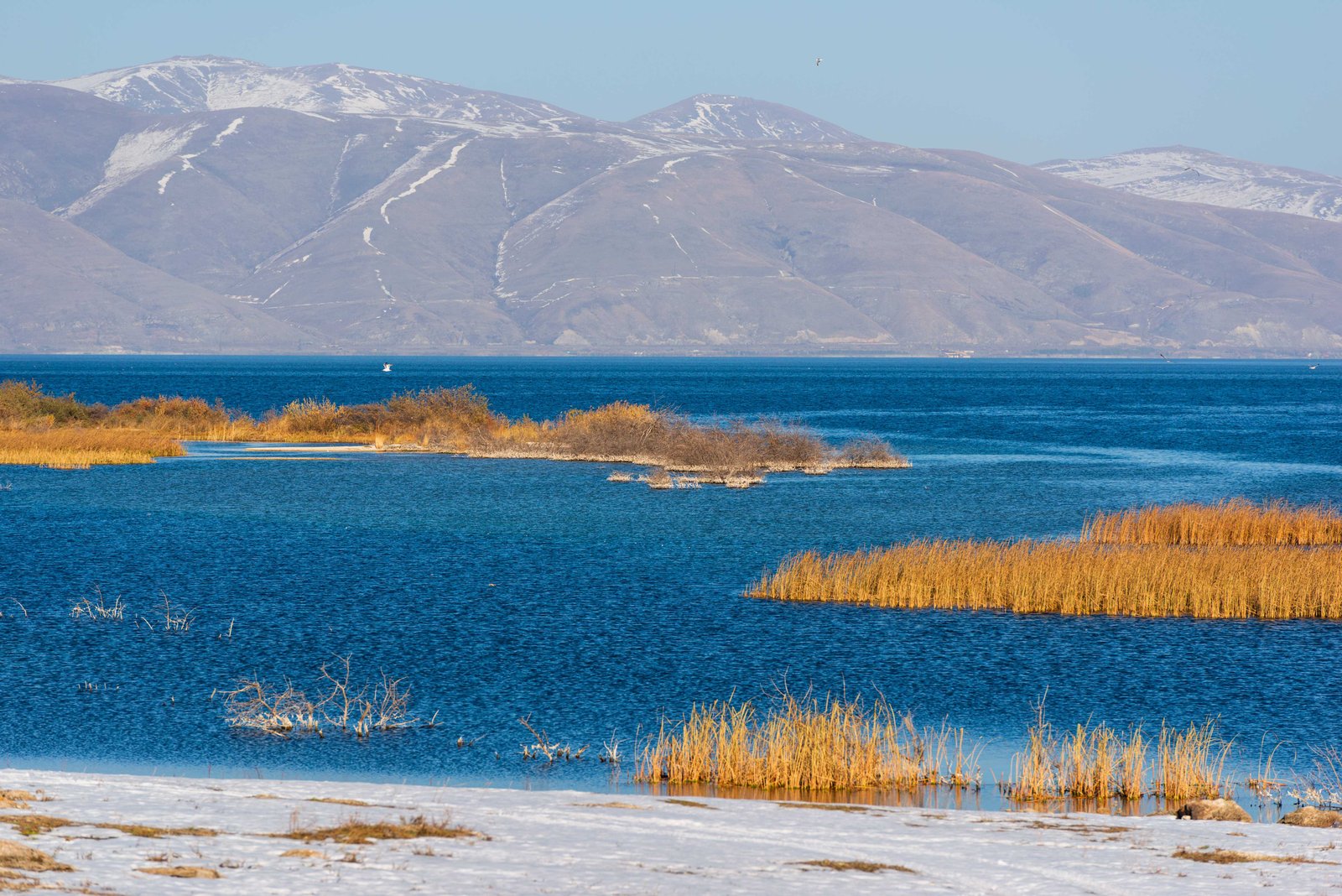 Սևանա լիճ